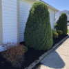 Gallery Top Shelf Landscaping