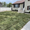 Sod & Grading Top Shelf Landscaping